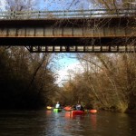 Kayak Guy Atlanta