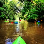 Chestatee River Kayaking